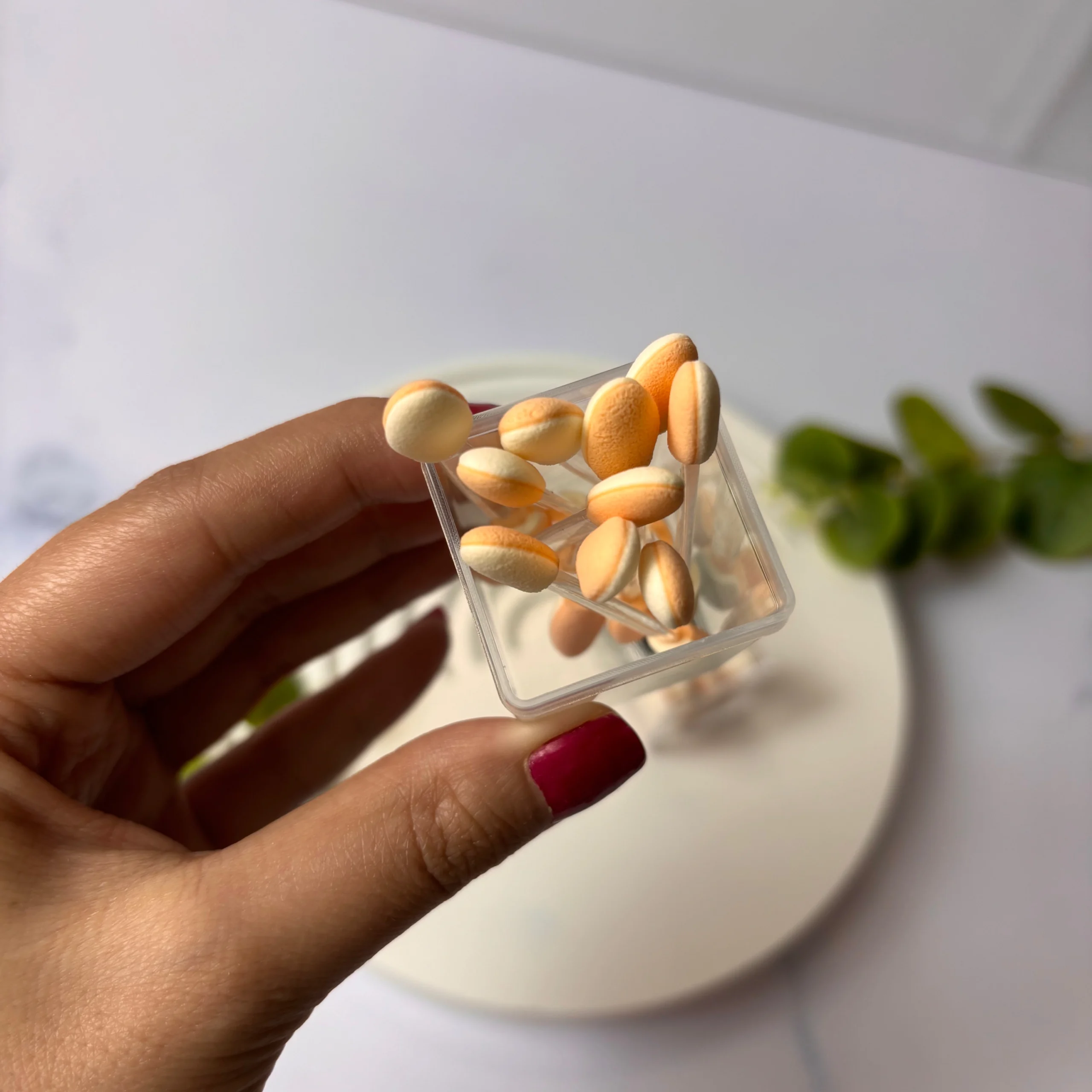 پد سایه چشم مجموعه 10 عددی