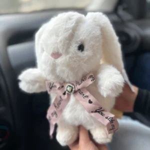 عروسک اورجینال خرگوش بارنی نشسته