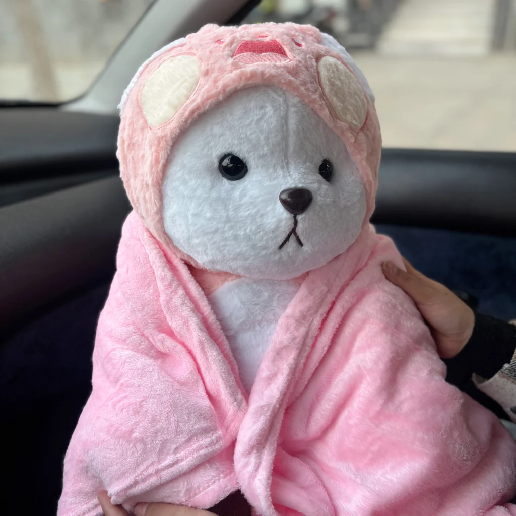 عروسک خرس بالشتی مدل پتو دار